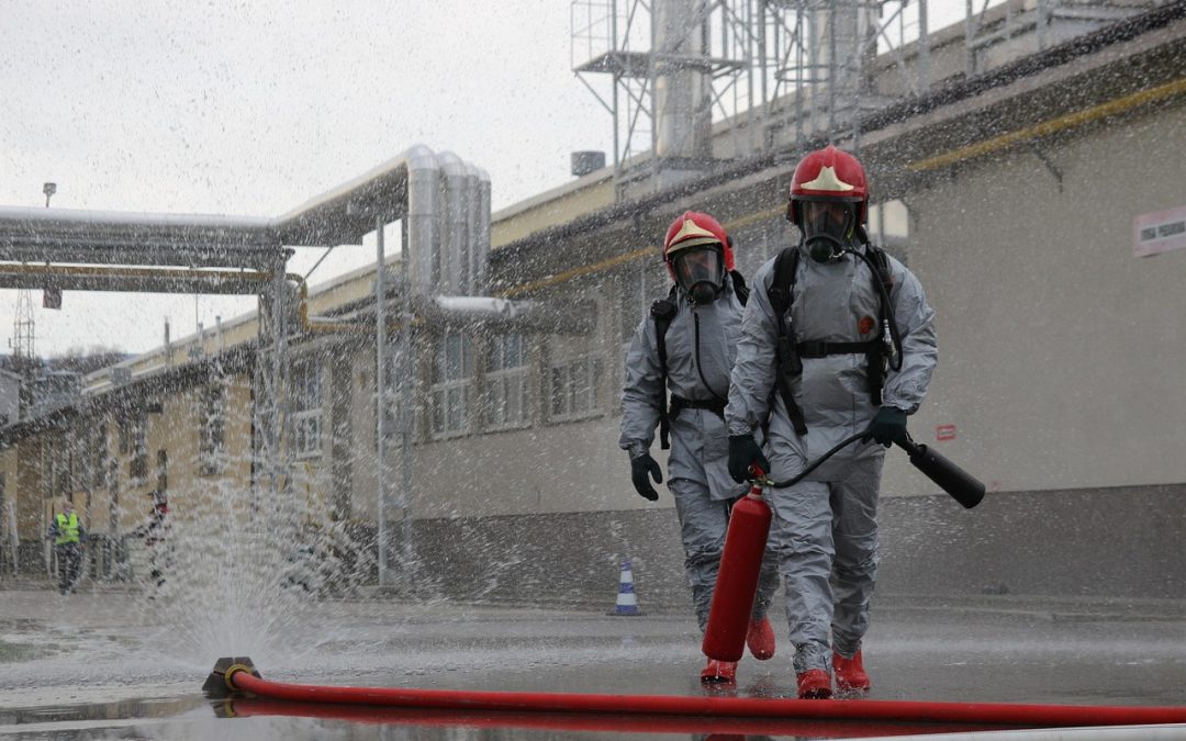 Dinas Damkar Kotawaringin Barat Hapus Sarang Tawon di Gudang